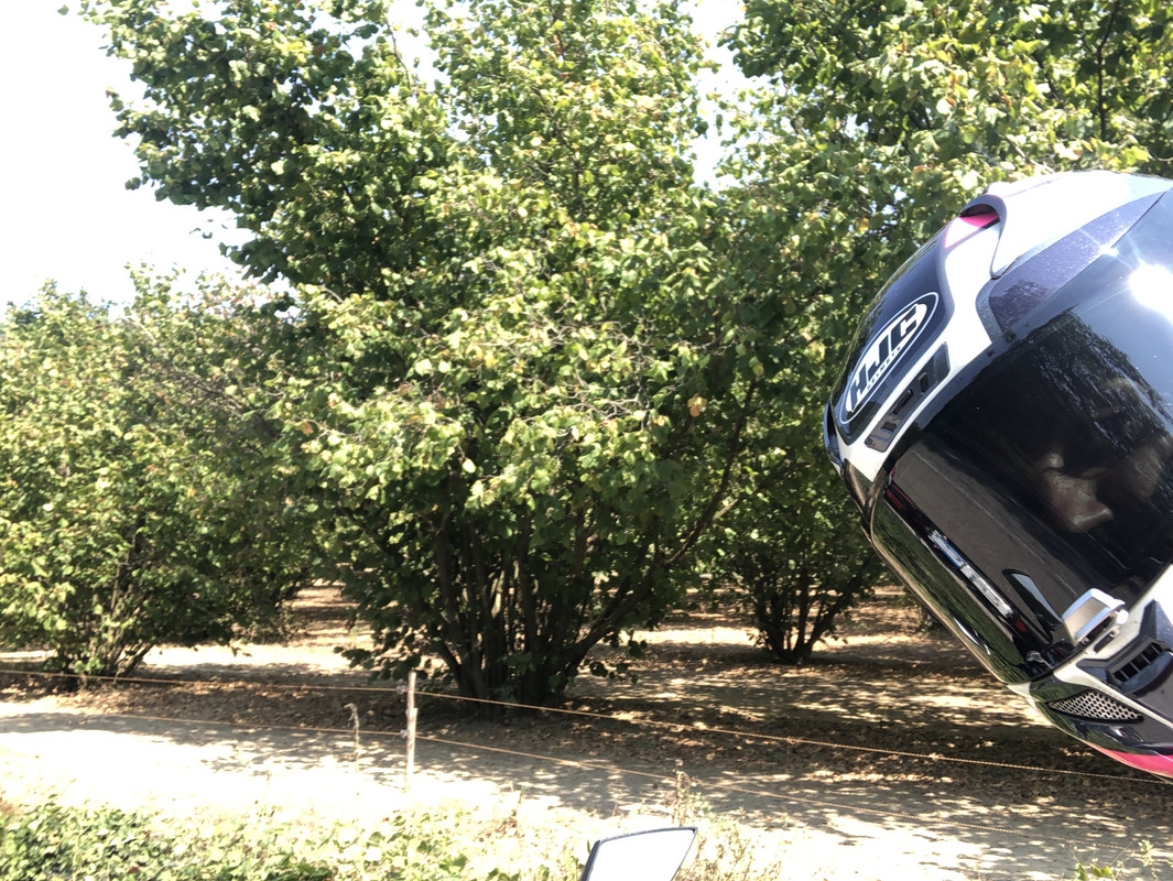 94874468-A199-4E81-9FD3-E5F96DFBEF94