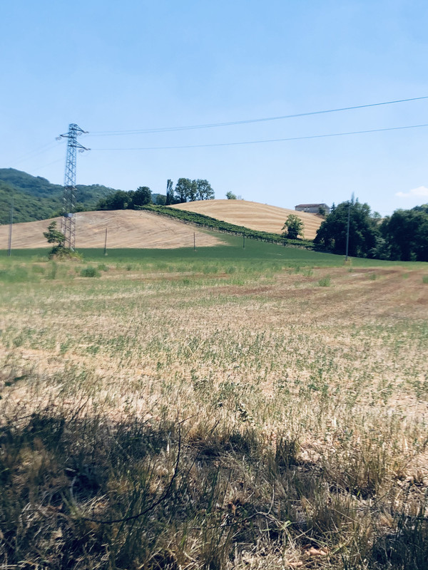 51B76038-DFAA-4BAE-B266-1FDF7E6F02F1