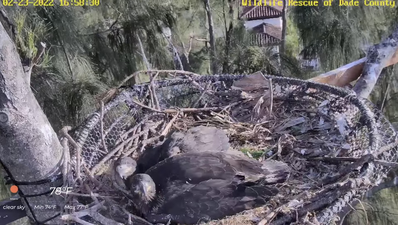 DD264378-70BC-4A1C-B400-C5772F3D706E