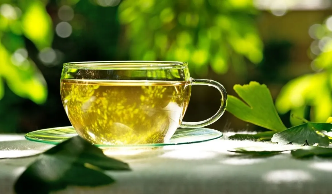 ¿Qué hierba es buena para el vértigo?