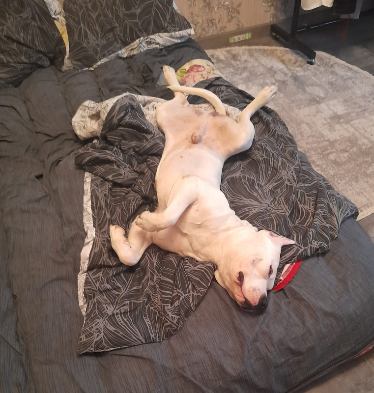 26F6331B-228D-4EFB-BAED-FF4A388D985C