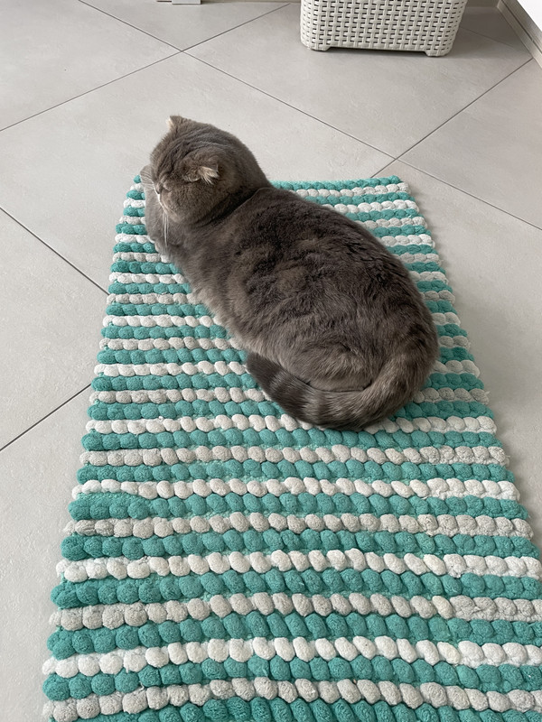 D327D849-116B-4463-9F55-3337E9865105