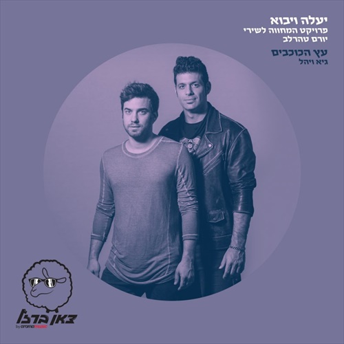 תמונה