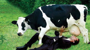 Dont-drink-cows-milk