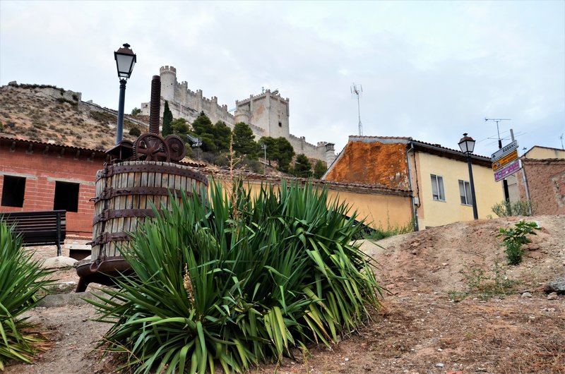 PEÑAFIEL-14-9-2022 - Valladolid y sus pueblos-2012/2016 (142)