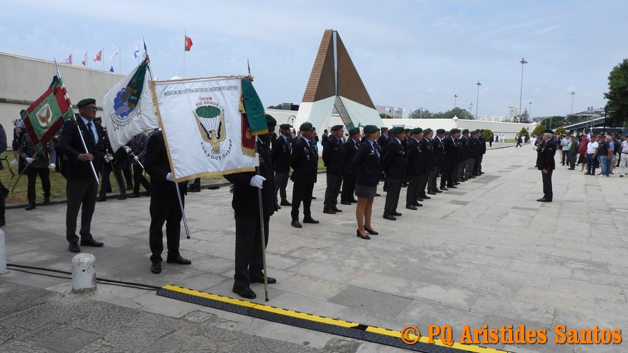 505516674-2426592741056236-3436395564648287124-n