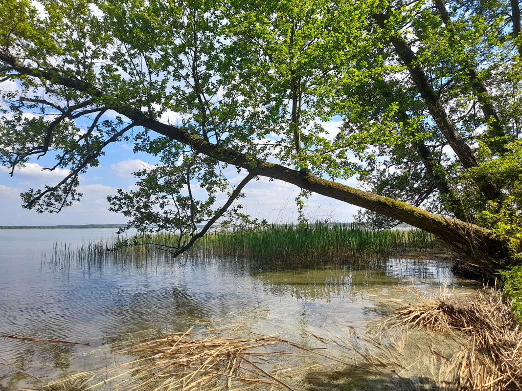 08.39 - 20210603_150825 (Aldona)