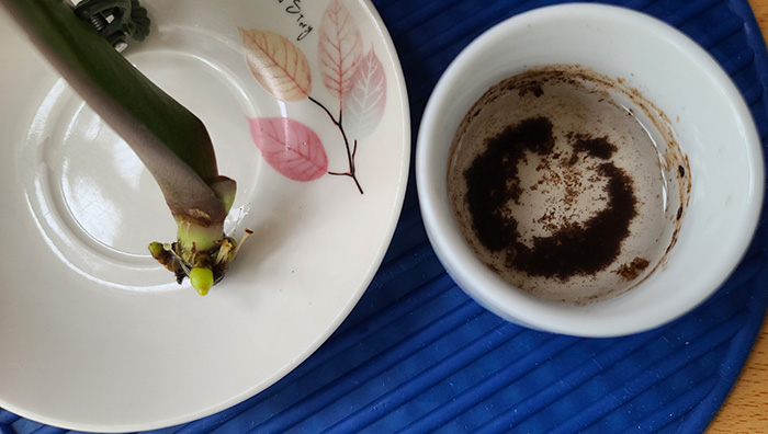 [Image: 20221217-121714.jpg]