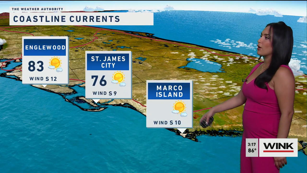 03.24 - 19.00.00 - WINK News at 3pm  ᴺᵉʷ..ts_snapshot_00.18.54.730