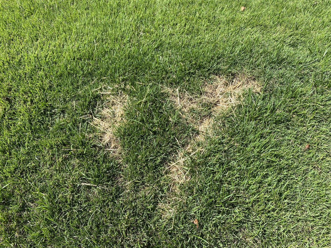 7ADCECE4-FC41-4D5F-B0FC-95C2F24C4F70