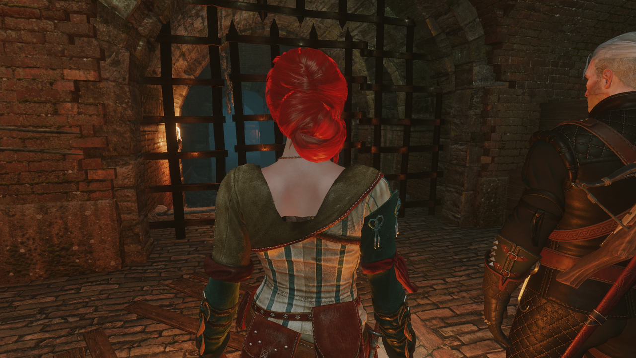 Hood Removal for Main Characters at The Witcher 3 Nexus Mods and