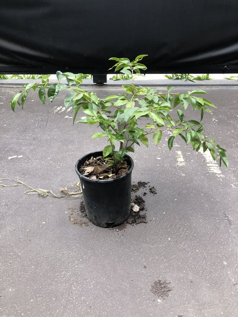 07FE830E-33AC-405B-B07C-99FB8F046135