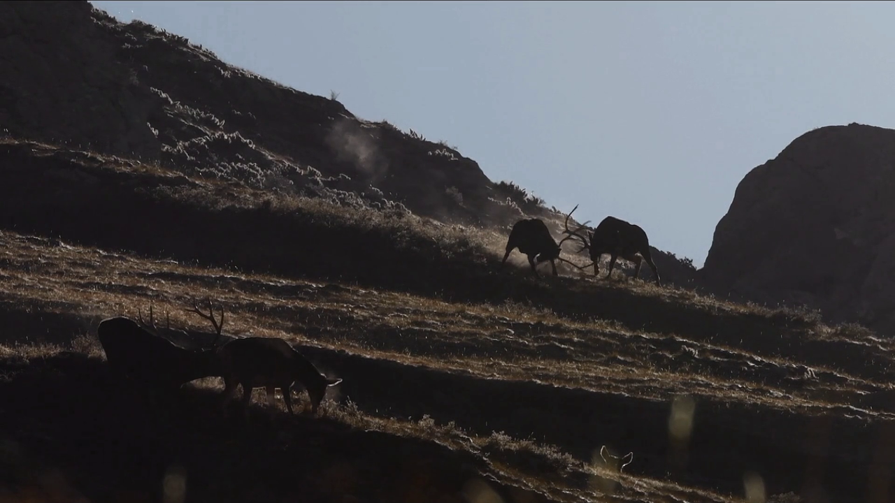 vlcsnap-2023-02-21-11h06m43s728