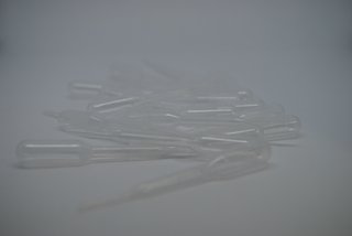 DSC-4556