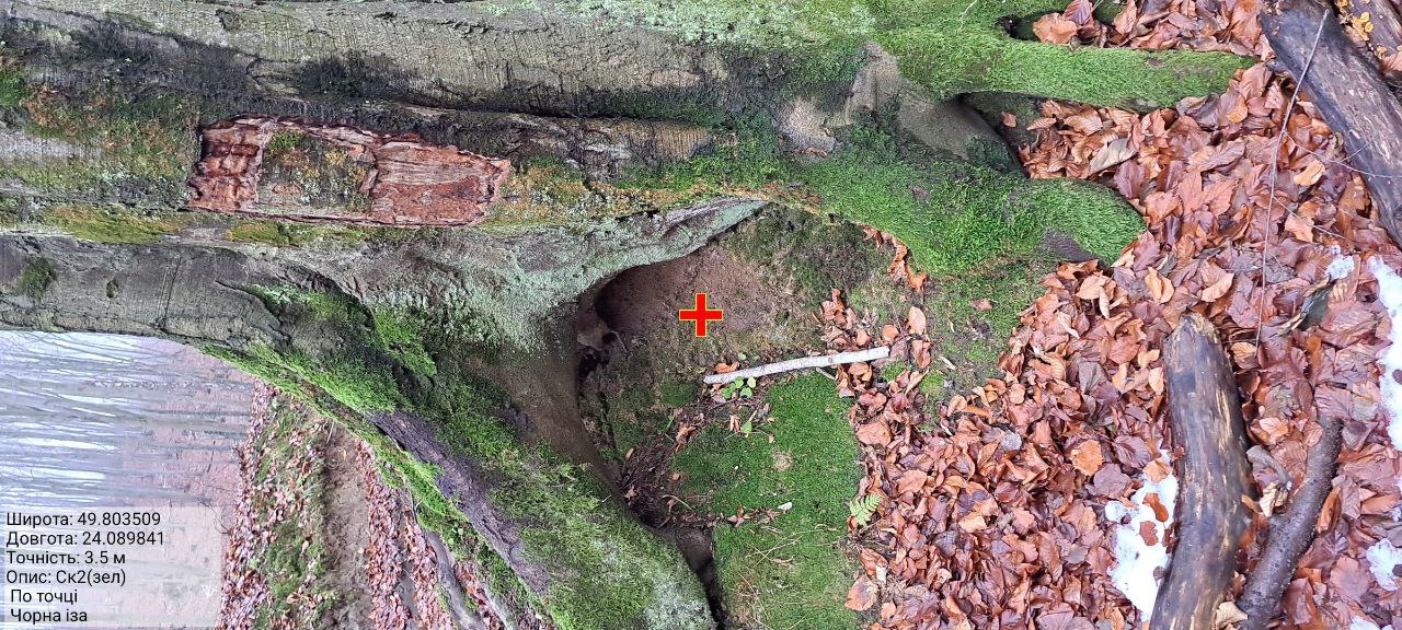 871bed3486450899dac619ca6c06934e5e8e