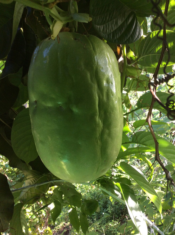 0D4AB205-CBA9-4C4B-BA21-A2A4CC138EB8