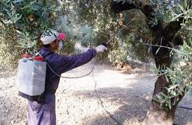 Σ' ΑΥΤΕΣ ΤΙΣ ΠΕΡΙΟΧΕΣ ΘΑ ΓΙΝΟΥΝ ΨΕΚΑΣΜΟΙ ΓΙΑ ΤΟΝ ΔΑΚΟ