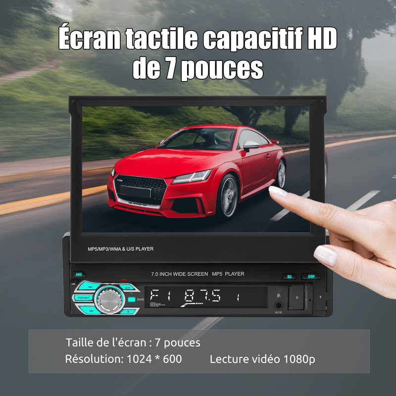 G020149501-FR-2-ping-mu