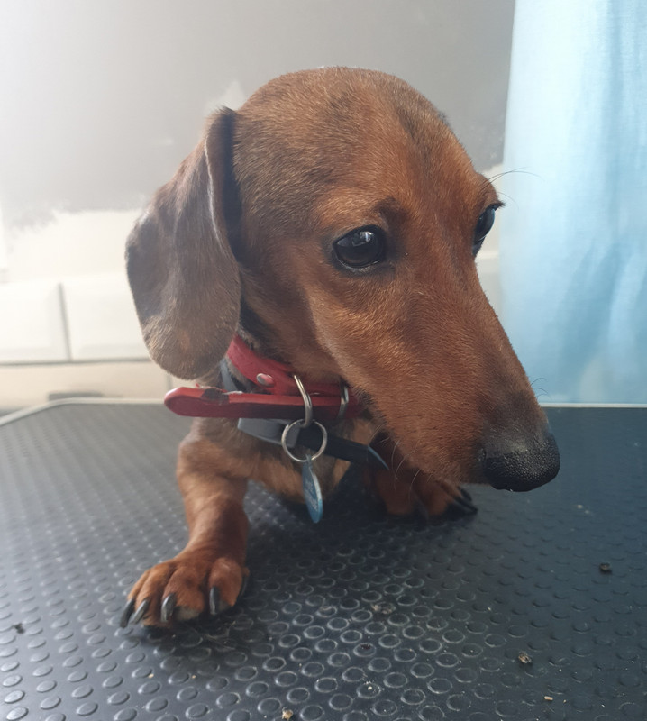 [Image: 20220704-220617.jpg]