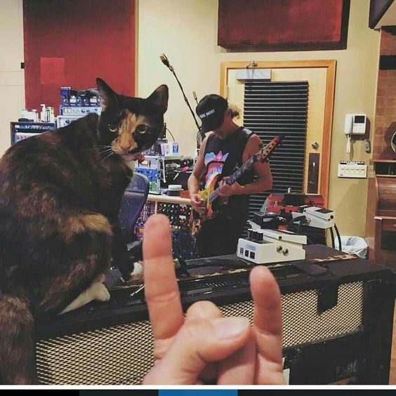 97e82df1d6ec0da143b6c3da10997a3a