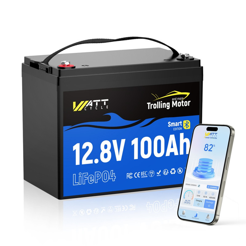 WT12V100AH100TMBT