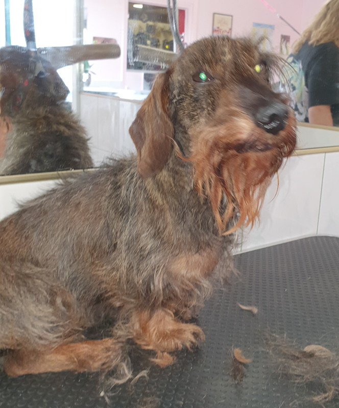 [Image: 20211006-141931.jpg]