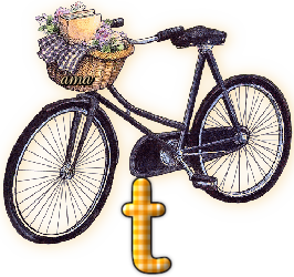 Bici Porta Flores  T