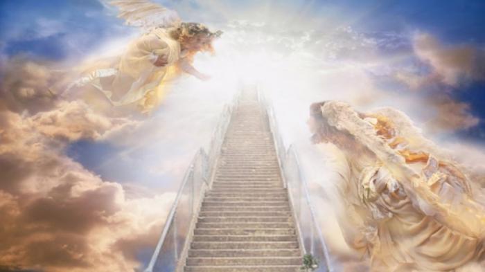 444444444445566666-1