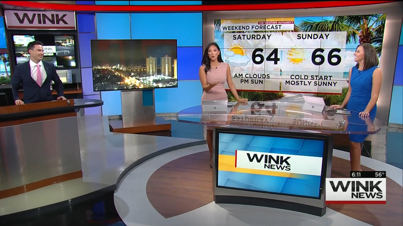 01.09 - 11.00.00 - WINK News @ 6 00am..ts_snapshot_00.17.49.903