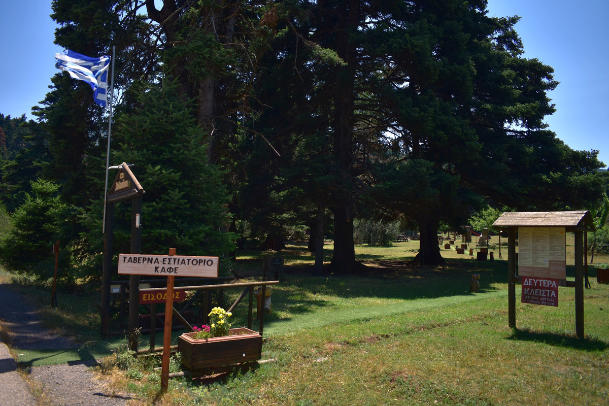 Αρβανίτσα (1)