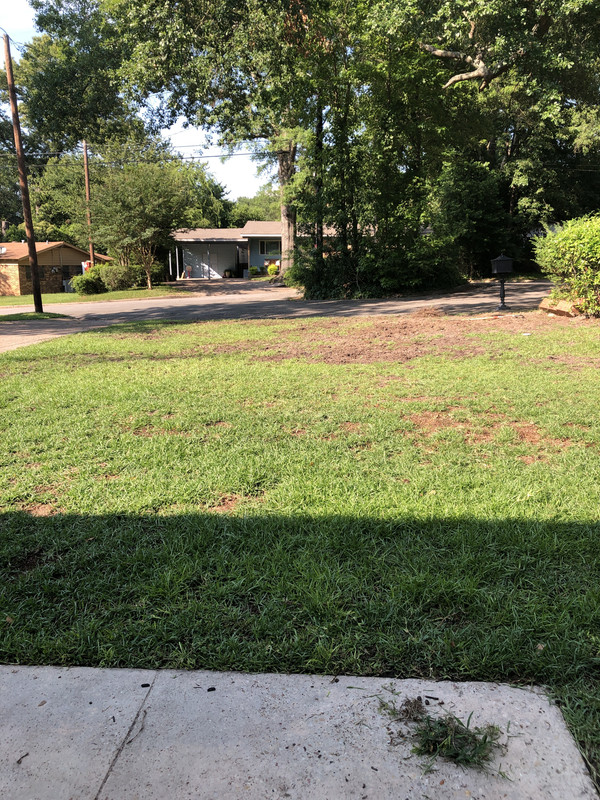 E405ABDD-4A33-4BAF-B0A9-95A61516220D