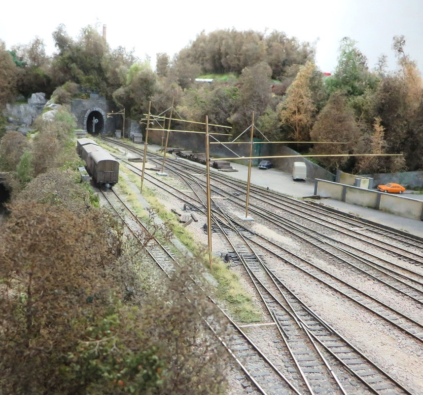 Boscoscuro dec 2021 (5)