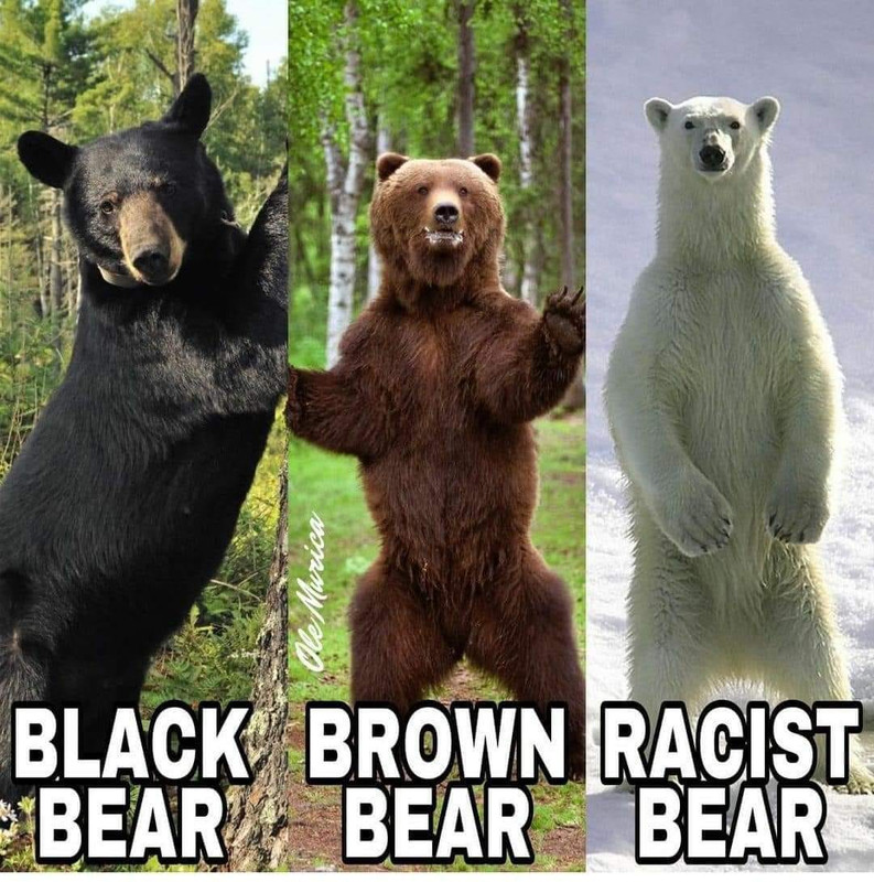 A8003718-E234-42B4-ABCE-3C7416D73228