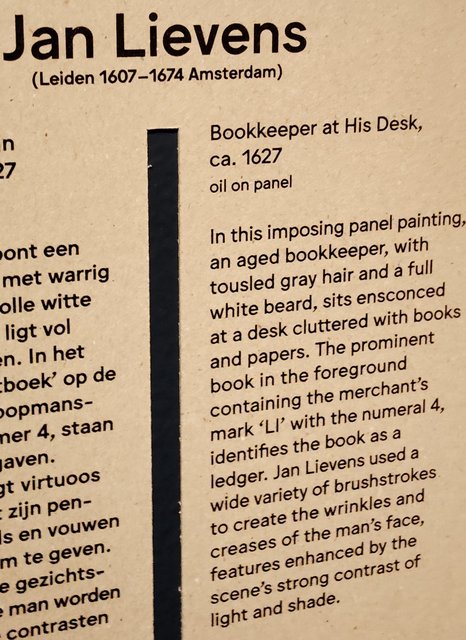 Escapada por Amsterdam - La Haya - Delft - Rotterdam - Leiden - Londres - Blogs de Europa - Museo Mauritshuis, decepcionante Depot Boijmans y callejeo por Delft y Leiden (207)
