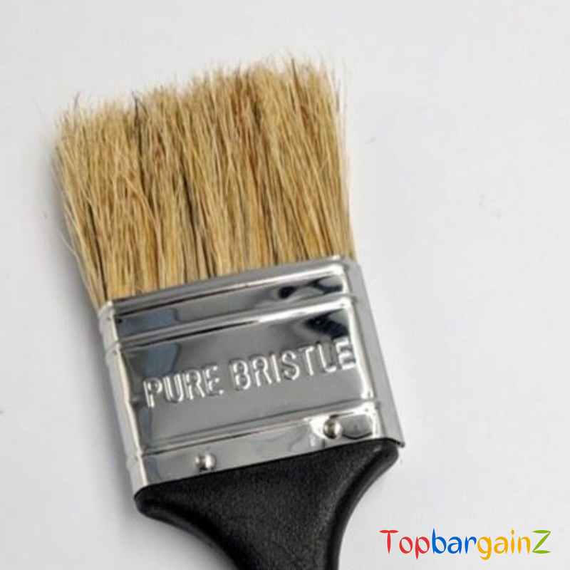 Harris Paint Brush Set Pure Bristle Wood Stain Varnish Brushes Painter