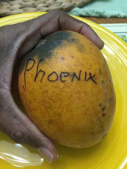 FE2A8E79-0170-4849-9CC9-67E5AADF9CAE