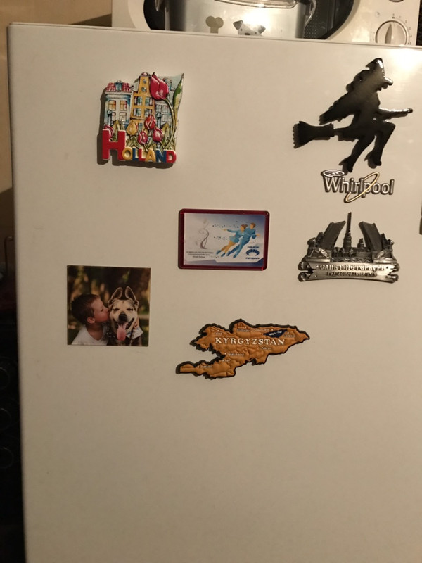 фото на холодильнике