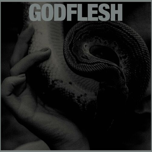 [Image: Godflesh-Purge-2023.jpg]