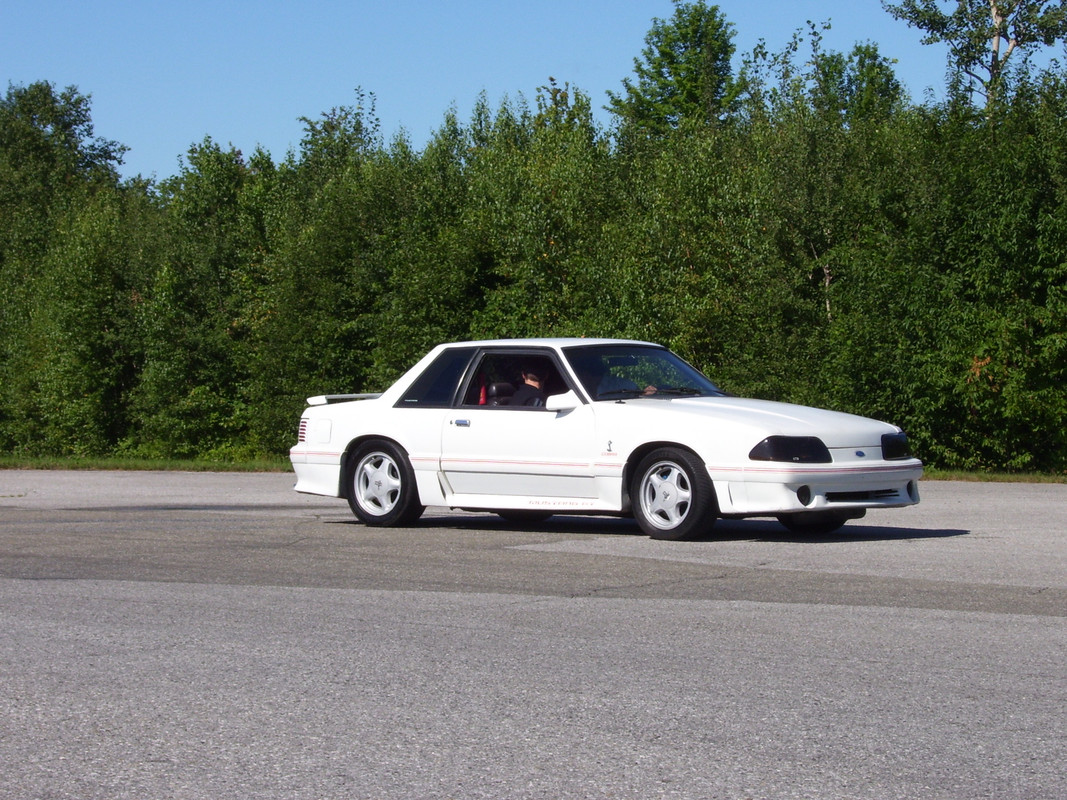 photo - Montréal Mustang: 40 ans et + d’activités! (Photos-Vidéos,etc...) - Page 19 100-0325