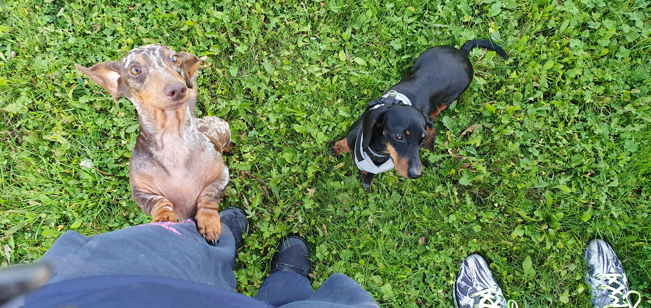 [Image: 20211023-173251.jpg]