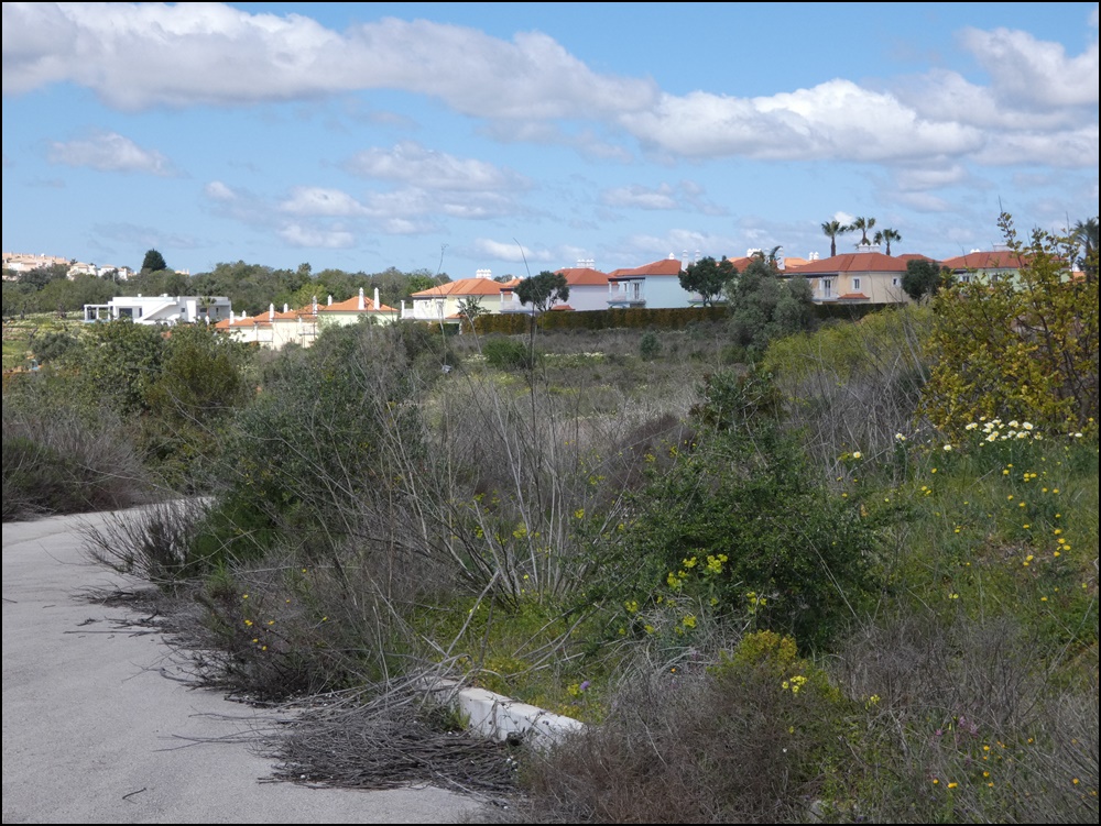 Albufeira-Quinta-da-Bolota-020420 (7)