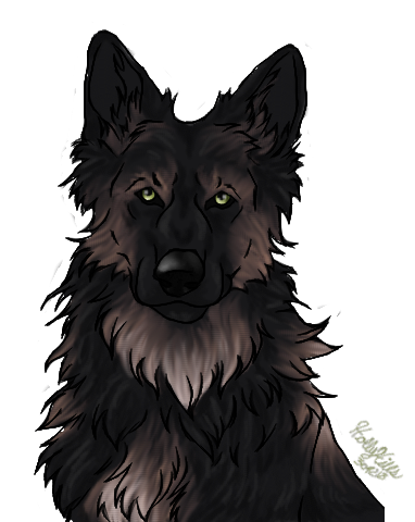 Delgado-portrait.png