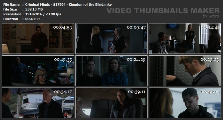 Criminal Minds - S17E04 - Kingdom of the Blind.mkv