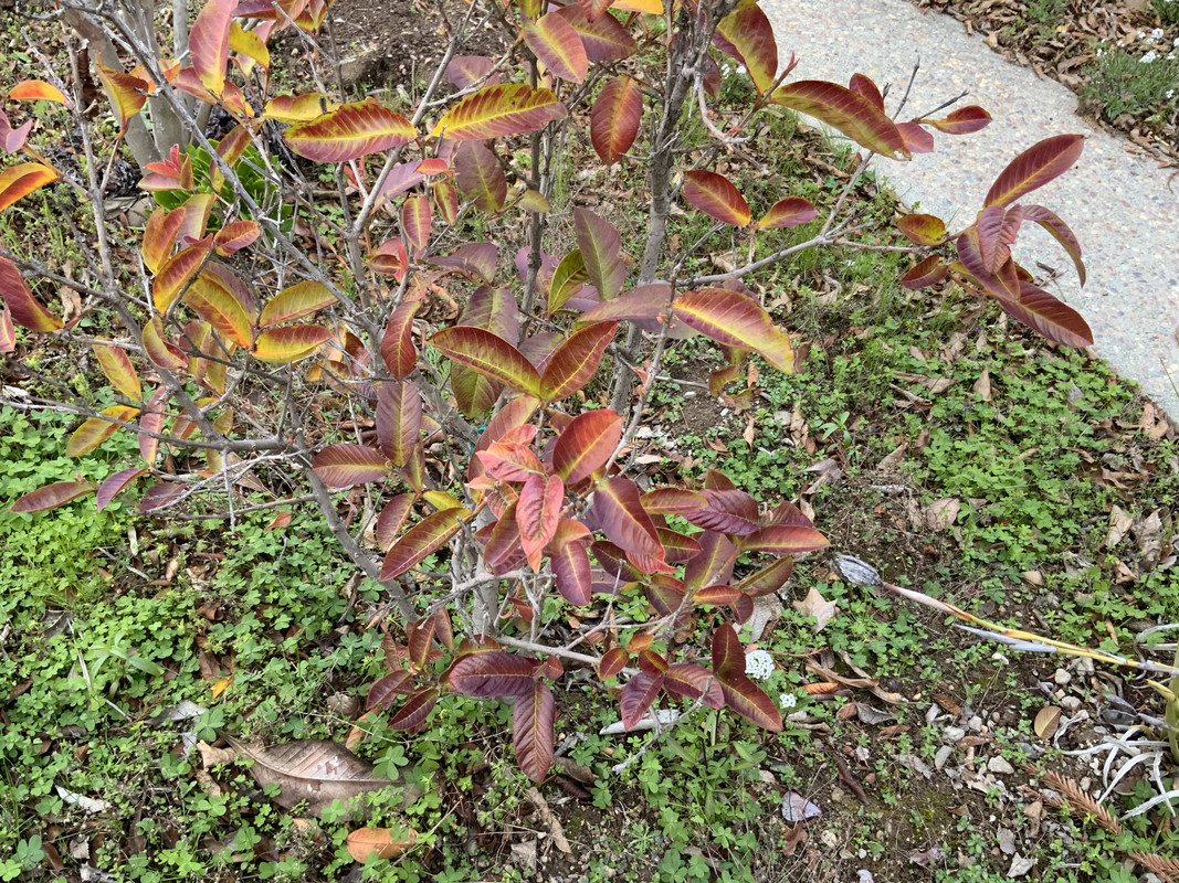 72DD83F3-4680-4C6E-ADE5-35BAE6844C80