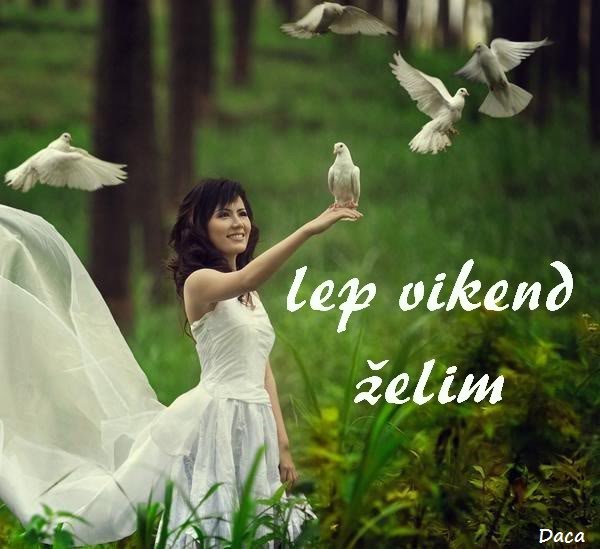 Slika