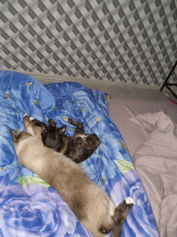 951F7C81-5F8F-4D4B-A45A-3202F70C0093