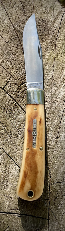 131B7E64-2B50-4034-9ECC-6C4F408AF384