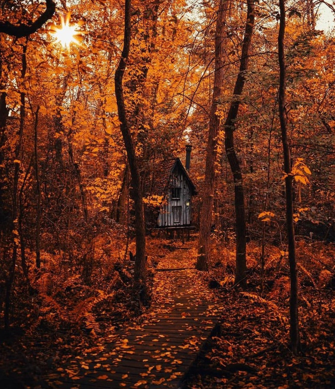 Screenshot_20231208_220549_Instagram