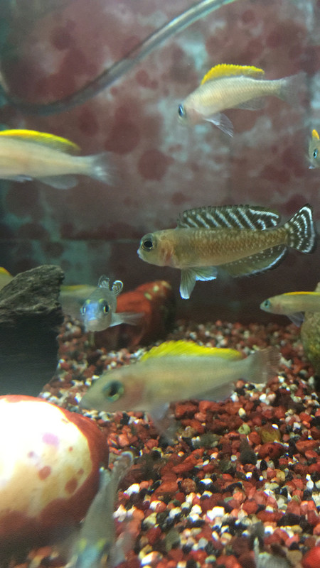 02929673-0428-43E1-B92F-2420934F219A