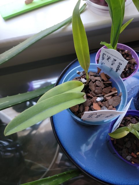 Screenshot_20220127-212917_Gallery